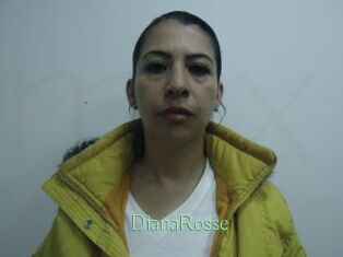DianaRosse