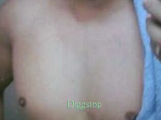 Diggstop