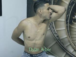 Dylan_Arbor