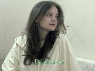 Daisybeames