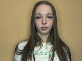 Daisyburland