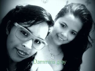 Dammins_gray