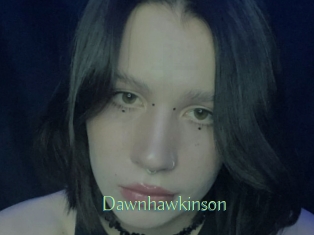 Dawnhawkinson