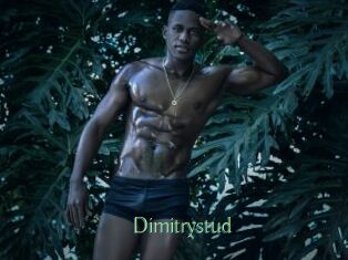Dimitrystud