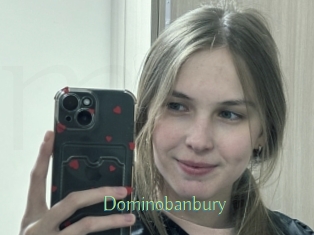 Dominobanbury