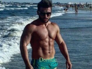 Domluc