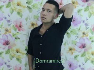 Domramires
