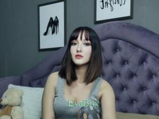EvaBrix