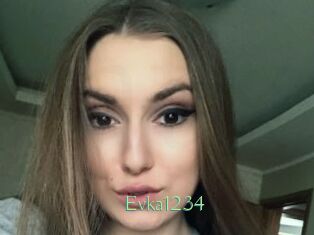 Evka1234