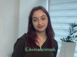 edwinadenmark Motion X