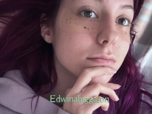 Edwinahiggason