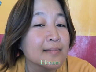 Elenatin