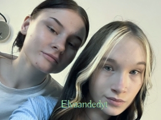 Elvaandedyt