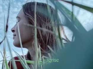 Elvagrise