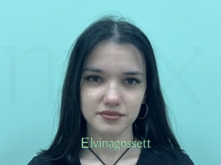 Elvinagossett