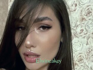 Elwineakey