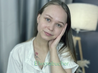 Elwynabucher