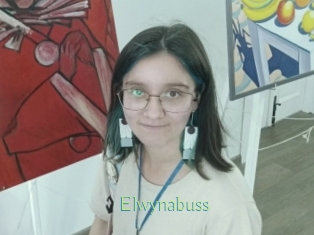 Elwynabuss
