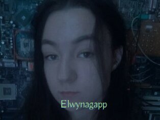 Elwynagapp