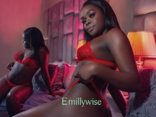Emillywise