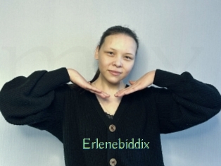 Erlenebiddix