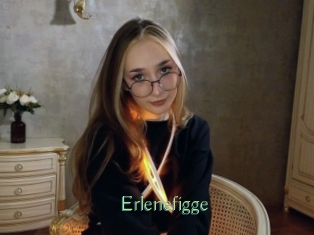 Erlenefigge