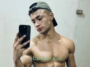 Esteban_stud