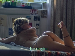 Evaangine
