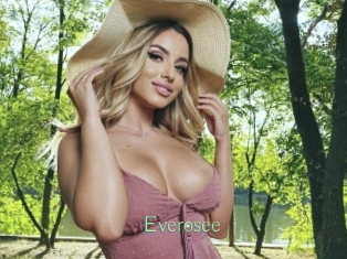 everosee Motion X