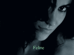 Feline