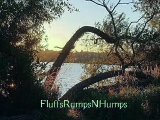 FluffsRumpsNHumps