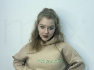 Felicecovil