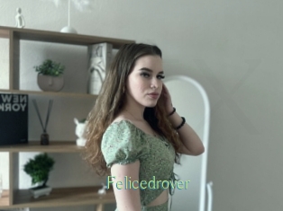 Felicedrover