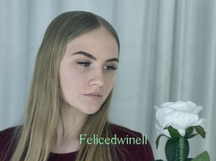 Felicedwinell