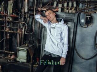 Felixburt