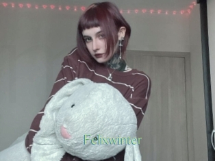 Felixwinter