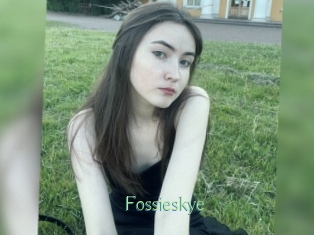 Fossieskye