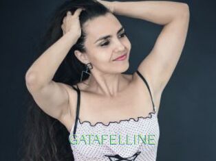 GATAFELLINE
