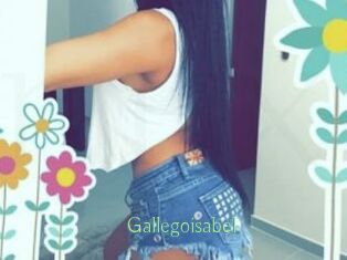 Gallegoisabel