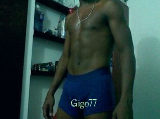 Gigo77