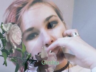 Grothia