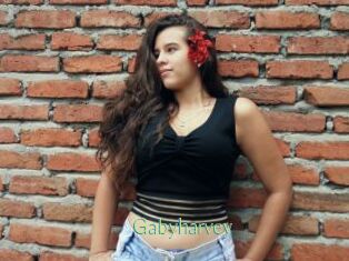Gabyharvey