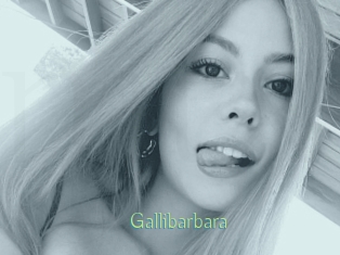 Gallibarbara