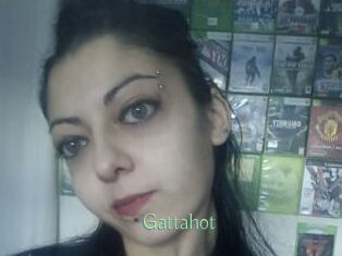 Gattahot