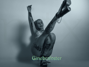 Ginebrafoster