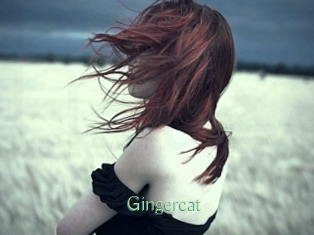 Gingercat