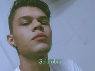 Goldrobin