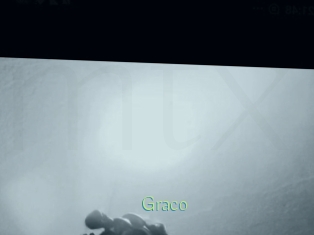 Graco