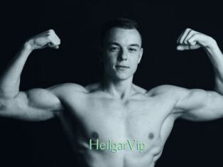 HeilgarVip