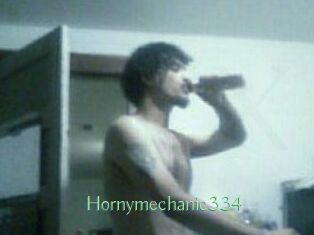Hornymechanic334